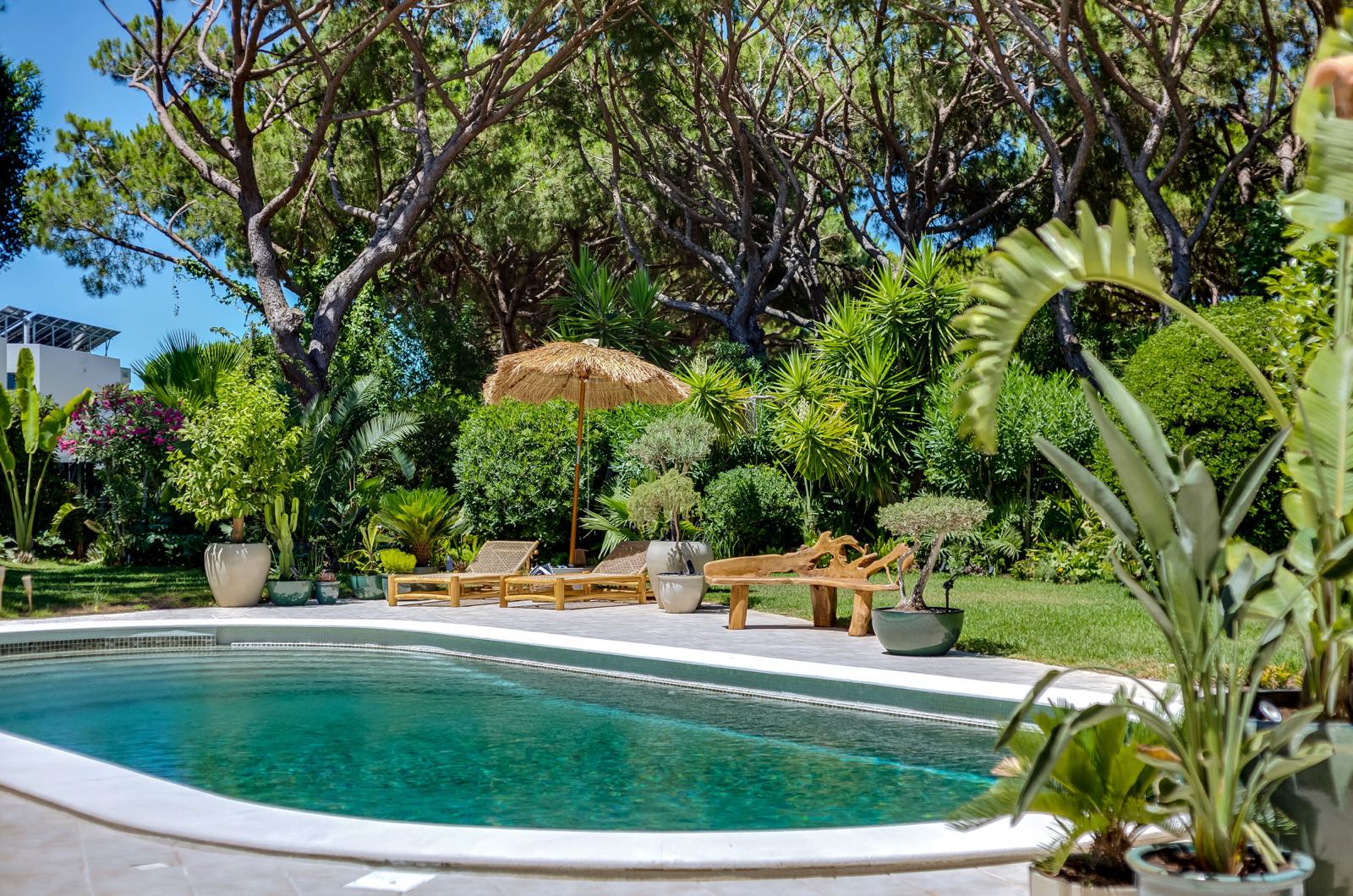 Lush garden with flowering bougainvillea, thatch umbrella and loungers at the pool edge