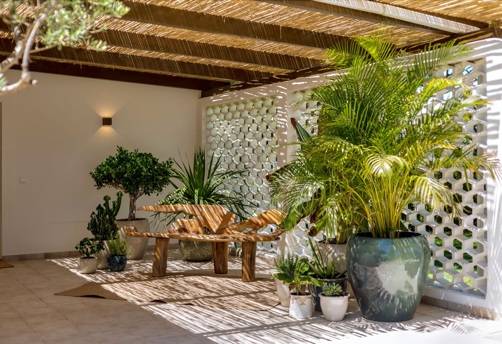 Shaded pergola nook with driftwood bench and potted plants at Casa da Fortuna