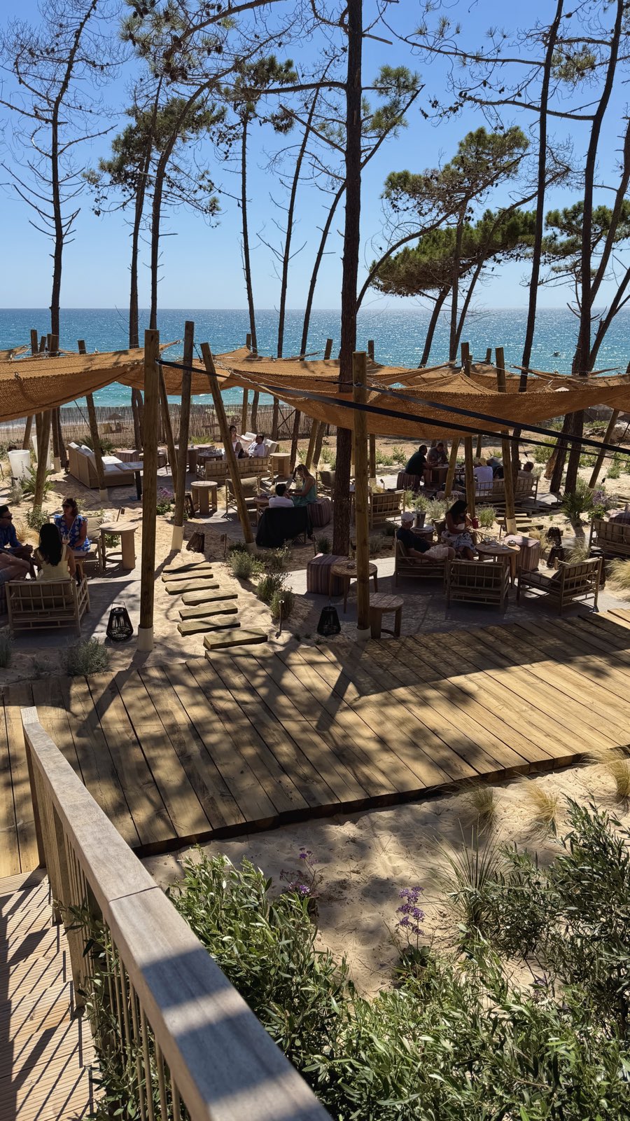 Beach club tables and pergolas set in the dunes under tall pines by the sea