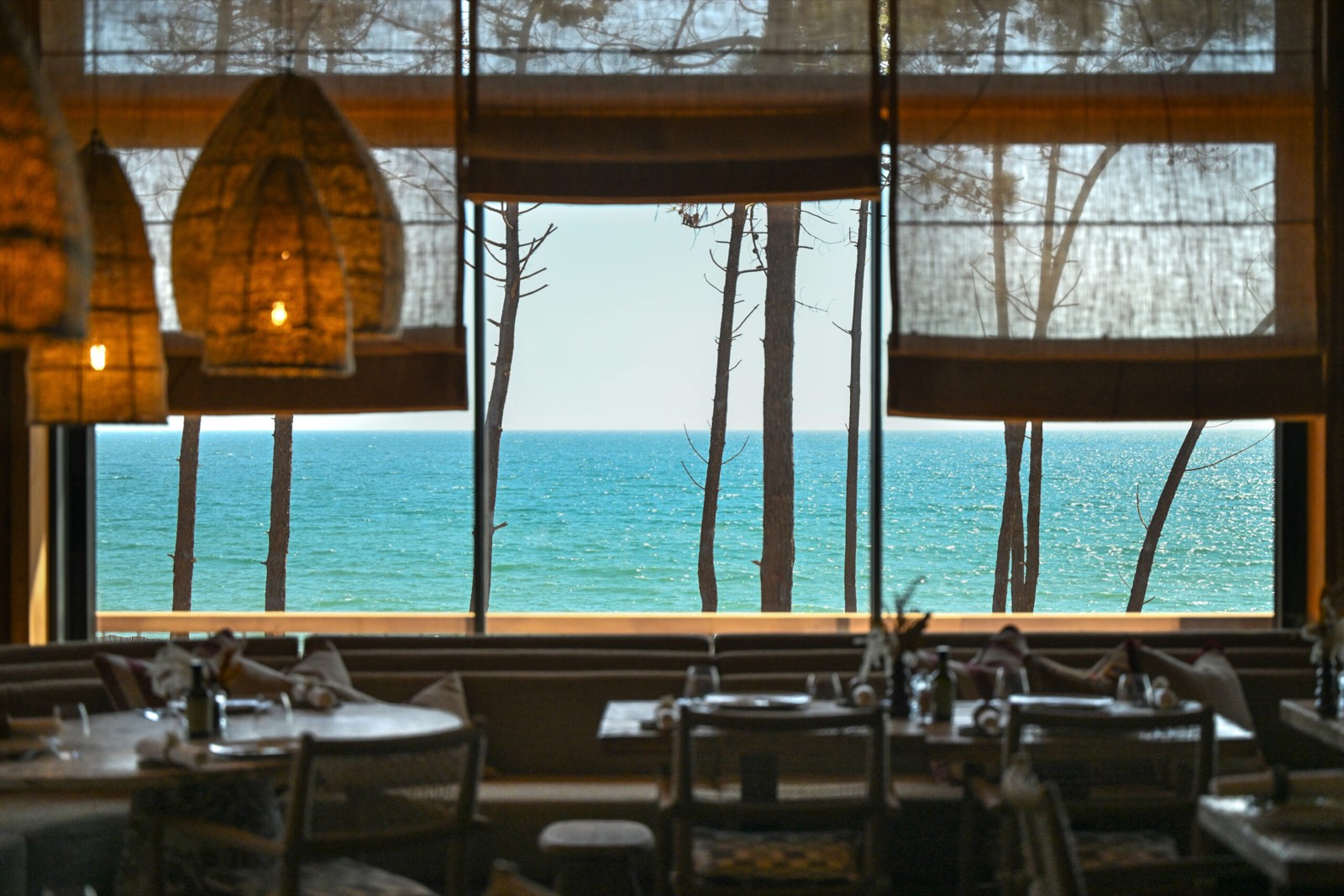 The Atlantic seen through pine trunks from the dining room of Cabana Sass'